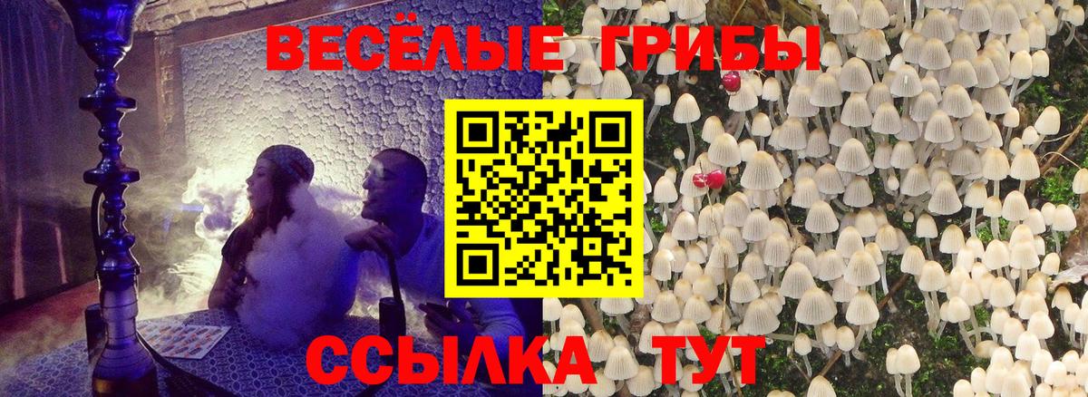 Псилоцибиновые грибы мухоморы  Вход с VPN  Северобайкальск 