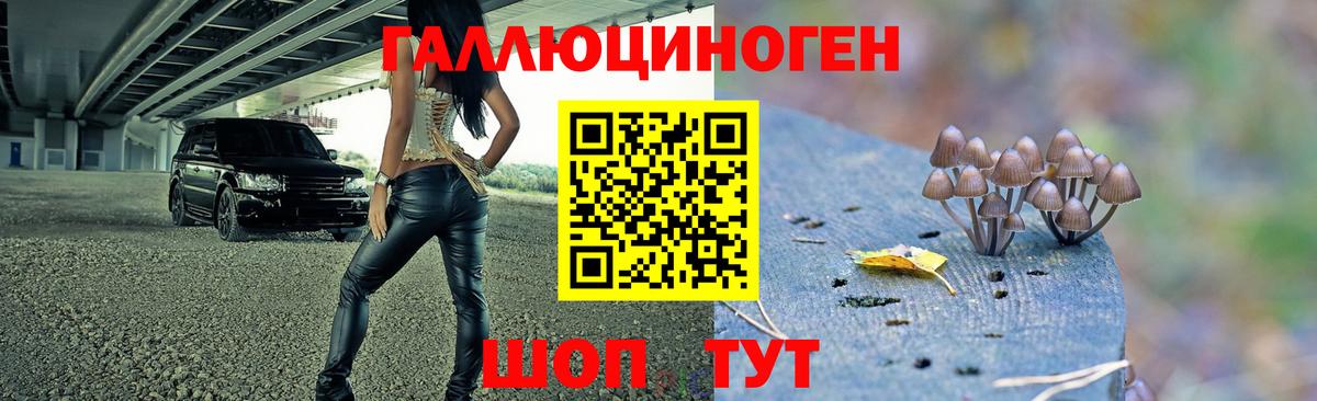 Псилоцибиновые грибы GOLDEN TEACHER Северобайкальск